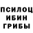 Псилоцибиновые грибы Psilocybe Fazli Ummetoglu