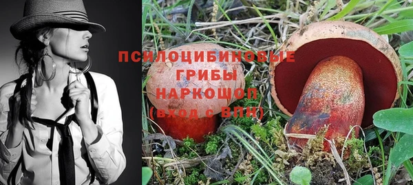 mix Вяземский