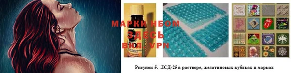 ГАЛЛЮЦИНОГЕННЫЕ ГРИБЫ Гусиноозёрск