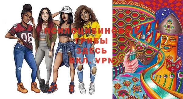 ГАЛЛЮЦИНОГЕННЫЕ ГРИБЫ Вязьма
