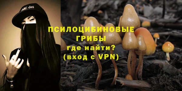 ГАЛЛЮЦИНОГЕННЫЕ ГРИБЫ Вязьма